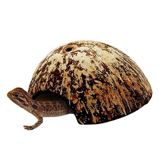Coconut Shell Hideout 1 Piece 