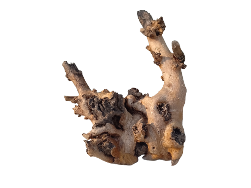 Teak Driftwood Branch for Aquarium 30 Cm Height and 2.3 Kg 