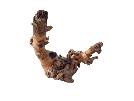 Teak Driftwood Branch for Aquarium 30 Cm Height and 2.3 Kg 