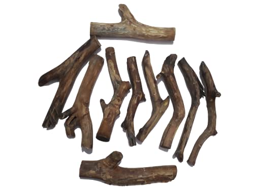 Driftwood For Aquarium or Craft work Or air plant display Original Teak wood 10 solid Craft Piece Bunch Total weight 4.6 KG(Random shape)