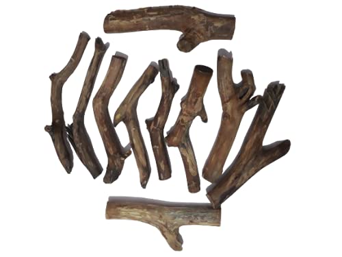 Driftwood For Aquarium or Craft work Or air plant display Original Teak wood 10 solid Craft Piece Bunch Total weight 4.6 KG(Random shape)