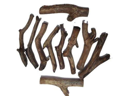 Driftwood For Aquarium or Craft work Or air plant display Original Teak wood 10 solid Craft Piece Bunch Total weight 4.6 KG(Random shape)