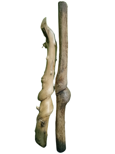 Rustic Naturally Twisted wooden sticks 2 Pieces 60 cm long 