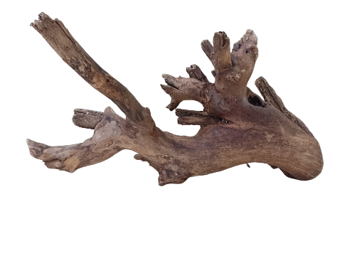 Teak Driftwood Branch for Aquarium  65 cm Long and 2.5 KG weight 