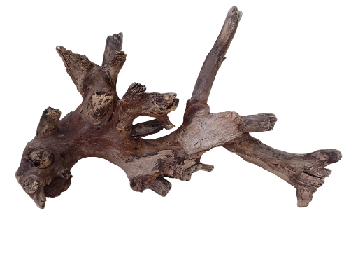 Teak Driftwood Branch for Aquarium 65 cm Long and 2.5 KG weight
