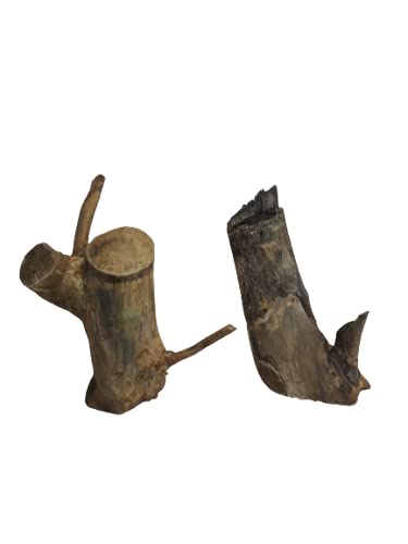 Natural Wooden Stumps Teak wood 2 Pieces 20 Cm Height 