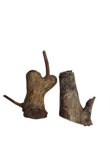 Natural Wooden Stumps Teak wood 2 Pieces 20 Cm Height 