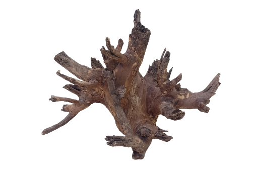 Natural Driftwood Piece 2 feet long 