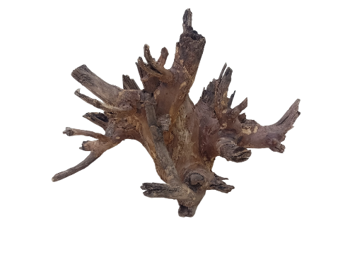 Natural Driftwood Piece 2 feet long 