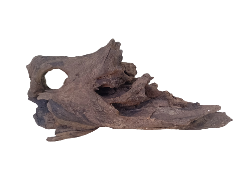 Driftwood for Aquarium Tree Root natural Driftwood 1 feet long 