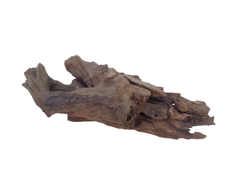 Driftwood for Aquarium Tree Root natural Driftwood 1 feet long 