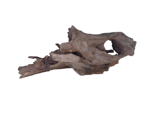 Driftwood for Aquarium Tree Root natural Driftwood 1 feet long 