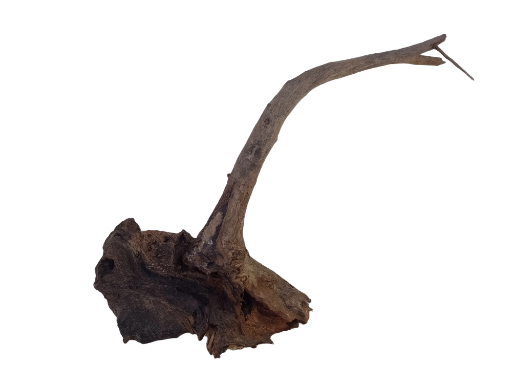 Natural Tree root Driftwood Piece 