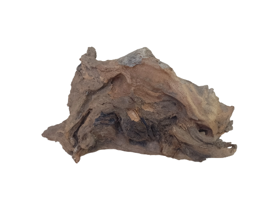 Natural Driftwood Piece Flat driftwood suitable for succulents plants setup 