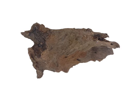 Natural Driftwood Piece Flat driftwood suitable for succulents plants setup 