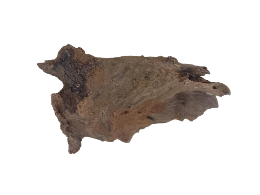 Natural Driftwood Piece Flat driftwood suitable for succulents plants setup 