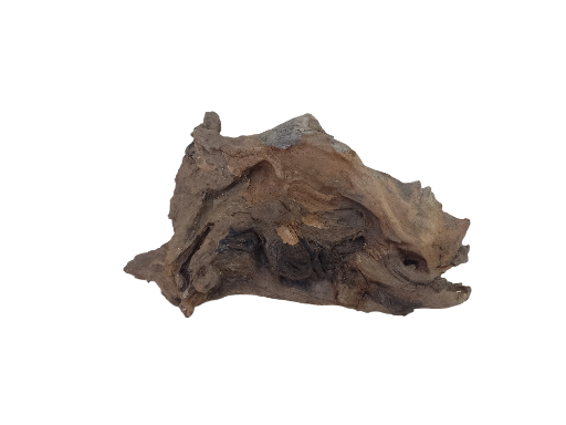 Natural Driftwood Piece Flat driftwood suitable for succulents plants setup 