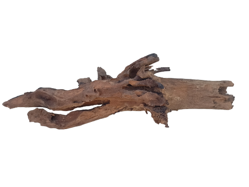 Natural Driftwood LOG 70 CM Long Burned on edges 