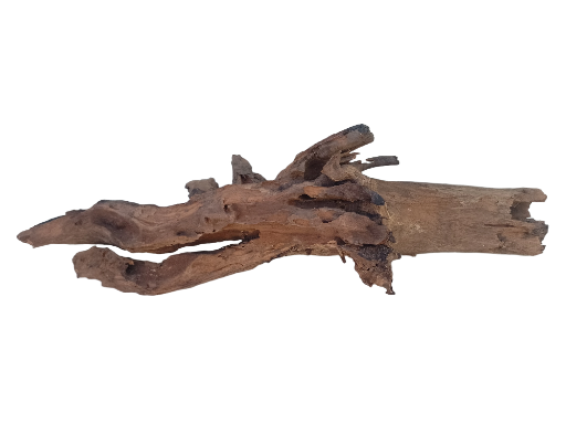 Natural Driftwood LOG 70 CM Long Burned on edges 