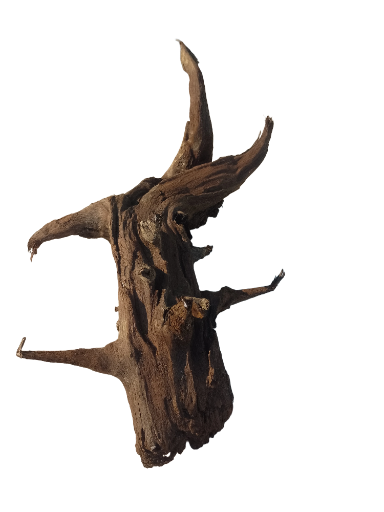 Decorative Driftwood Piece