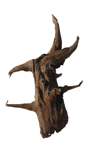 Decorative Driftwood Piece