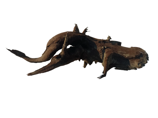 Decorative Driftwood Piece