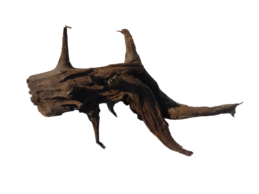Decorative Driftwood Piece
