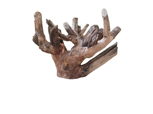 Teak Driftwood Branch For Driftwood 40 Cm Long 
