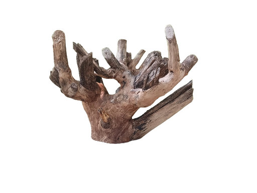 Teak Driftwood Branch For Driftwood 40 Cm Long 