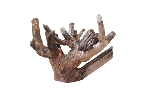 Teak Driftwood Branch For Driftwood 40 Cm Long 