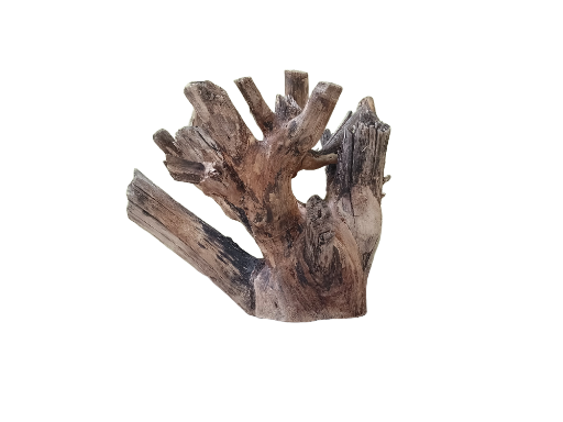 Teak Driftwood Branch For Driftwood 40 Cm Long 