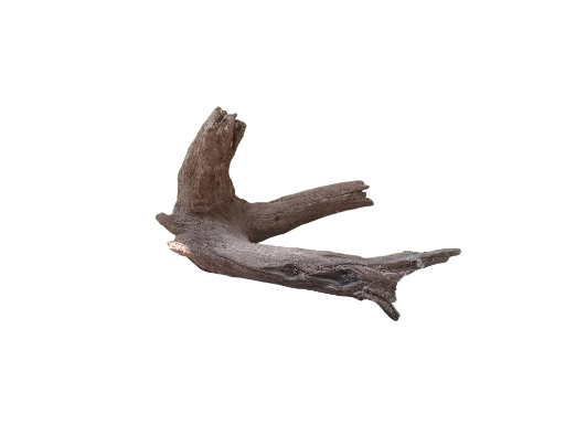Natural Tree Root Driftwood Piece 45 cm Long 