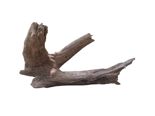 Natural Tree Root Driftwood Piece 45 cm Long 