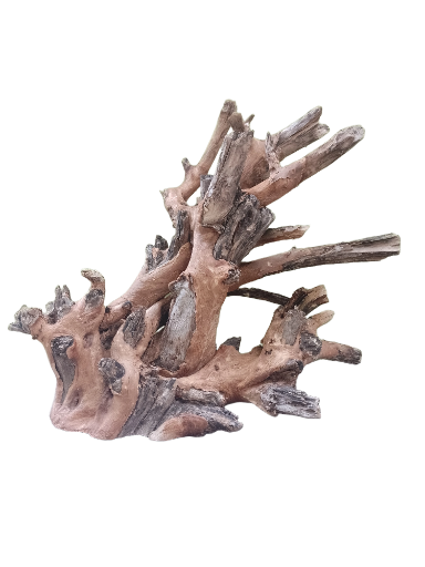 Driftwood For Aquarium Original Teak wood Branch 50 Cm Long and Height ( Rare Piece-Two in one center) 