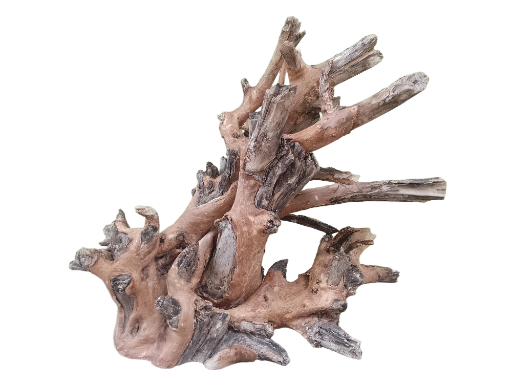 Driftwood For Aquarium Original Teak wood Branch 50 Cm Long and Height ( Rare Piece-Two in one center) 