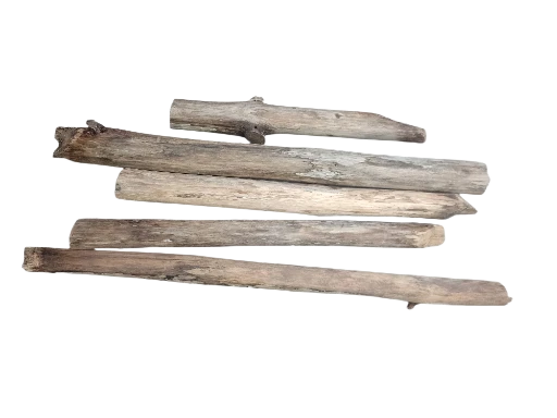 Teak wooden 5 Driftwood sticks  15-30 cm 