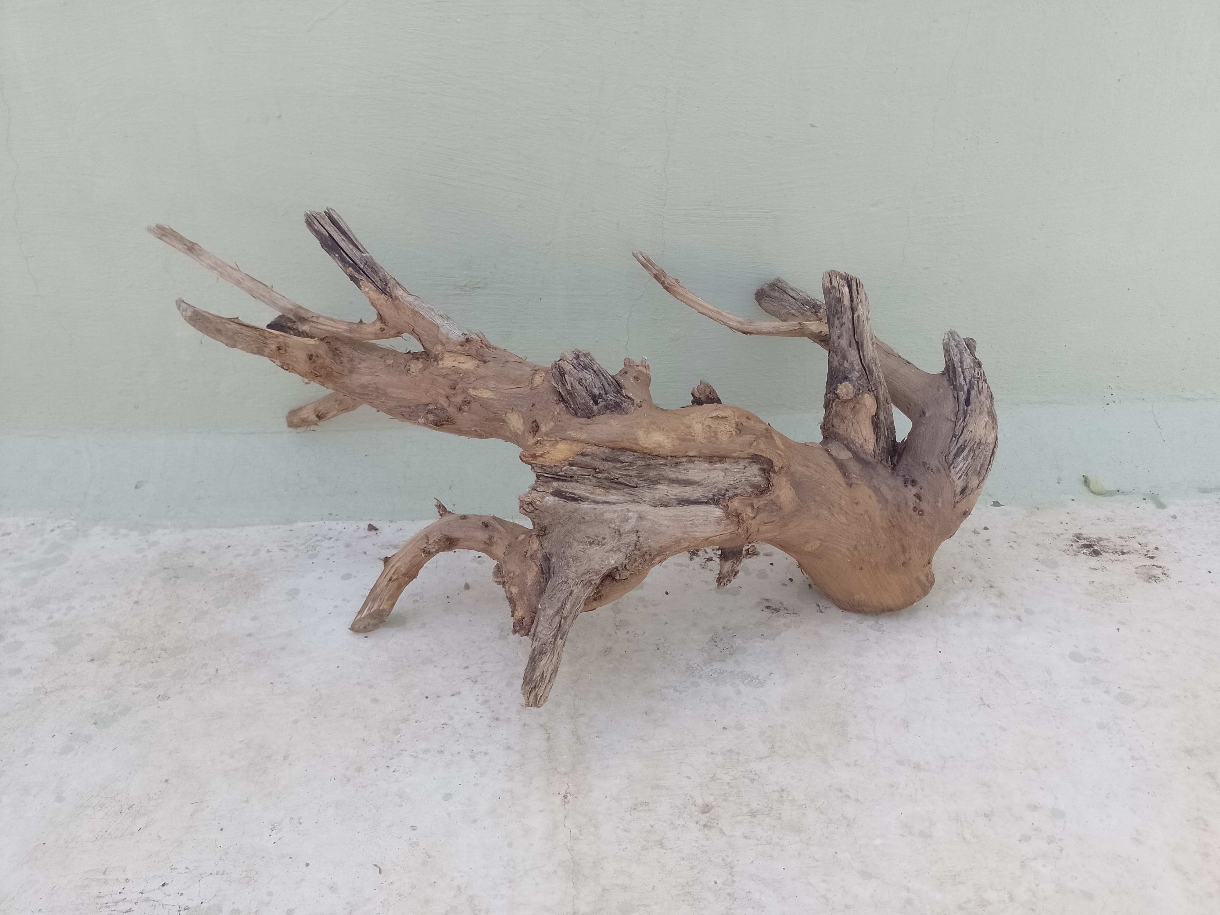 Teak Driftwood for Aquarium, 2 Feet long, 1 feet Height and 1 feet width 