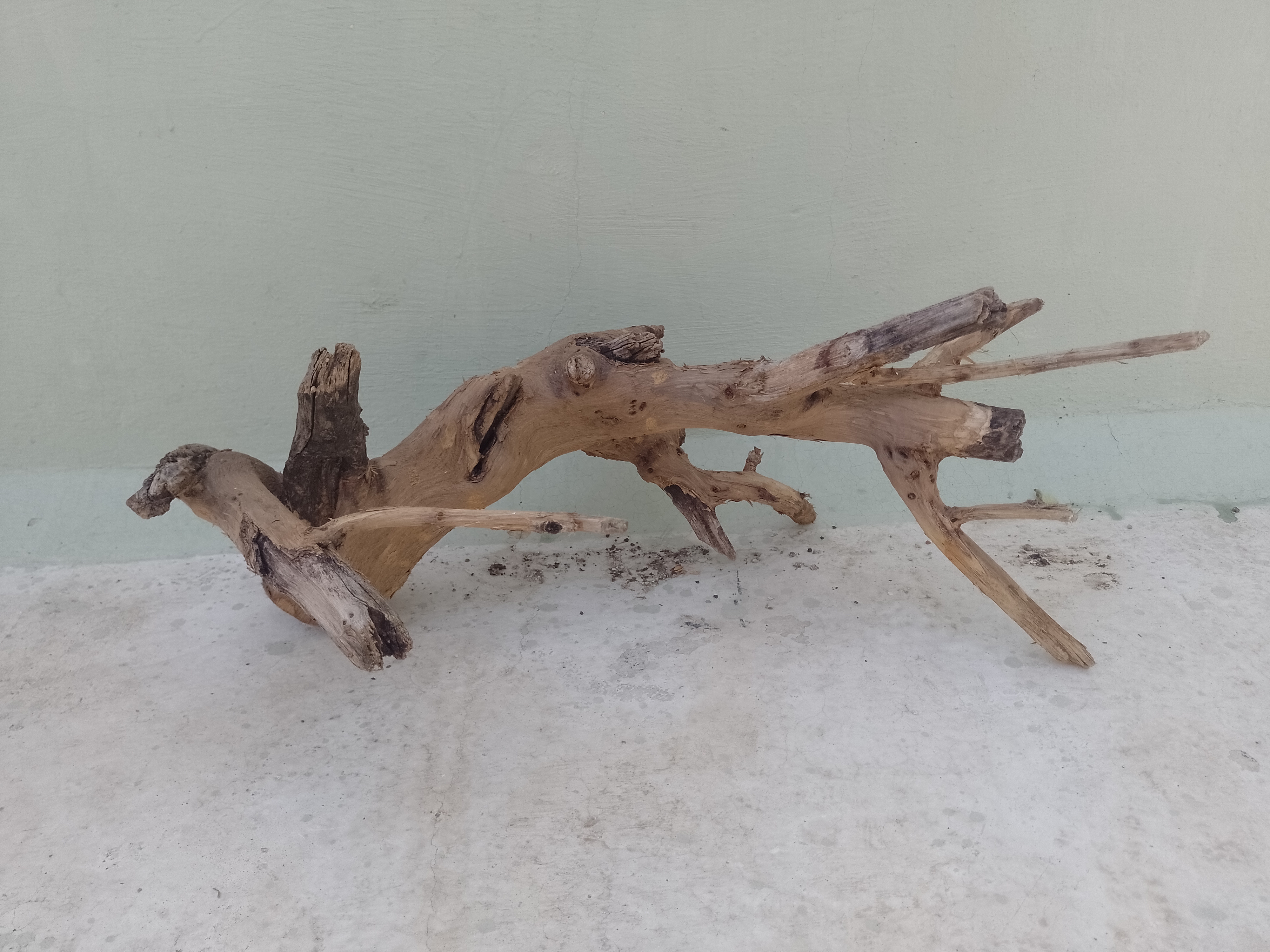 Teak Driftwood for Aquarium, 2 Feet long, 1 feet Height and 1 feet width 