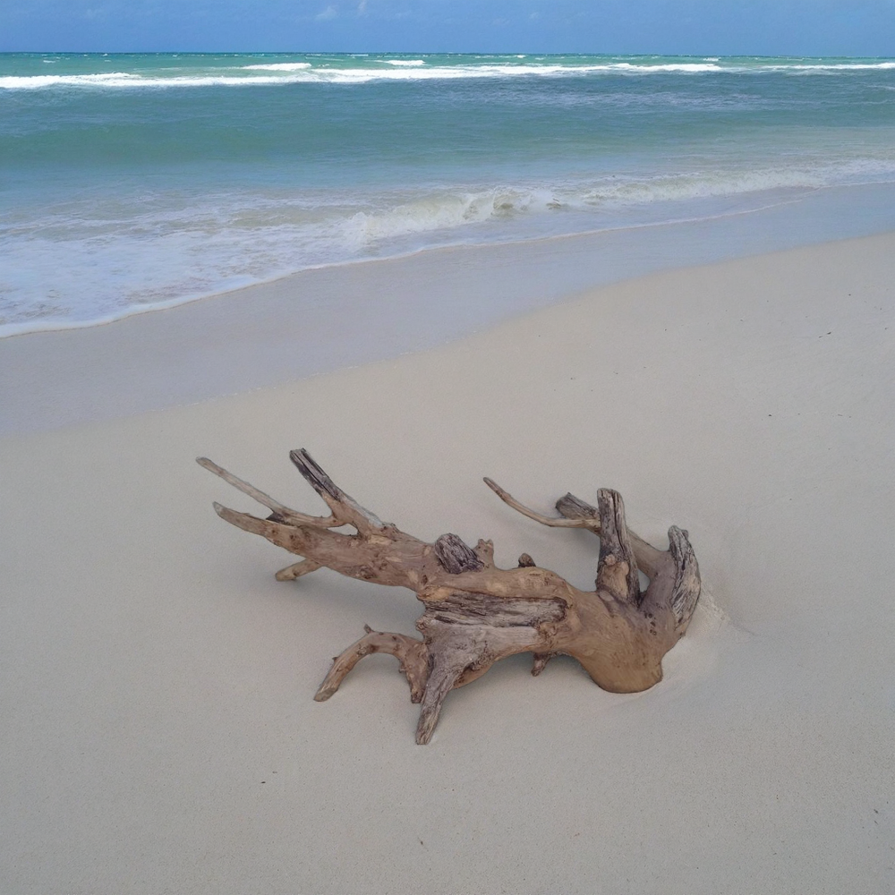 Teak Driftwood for Aquarium, 2 Feet long, 1 feet Height and 1 feet width 