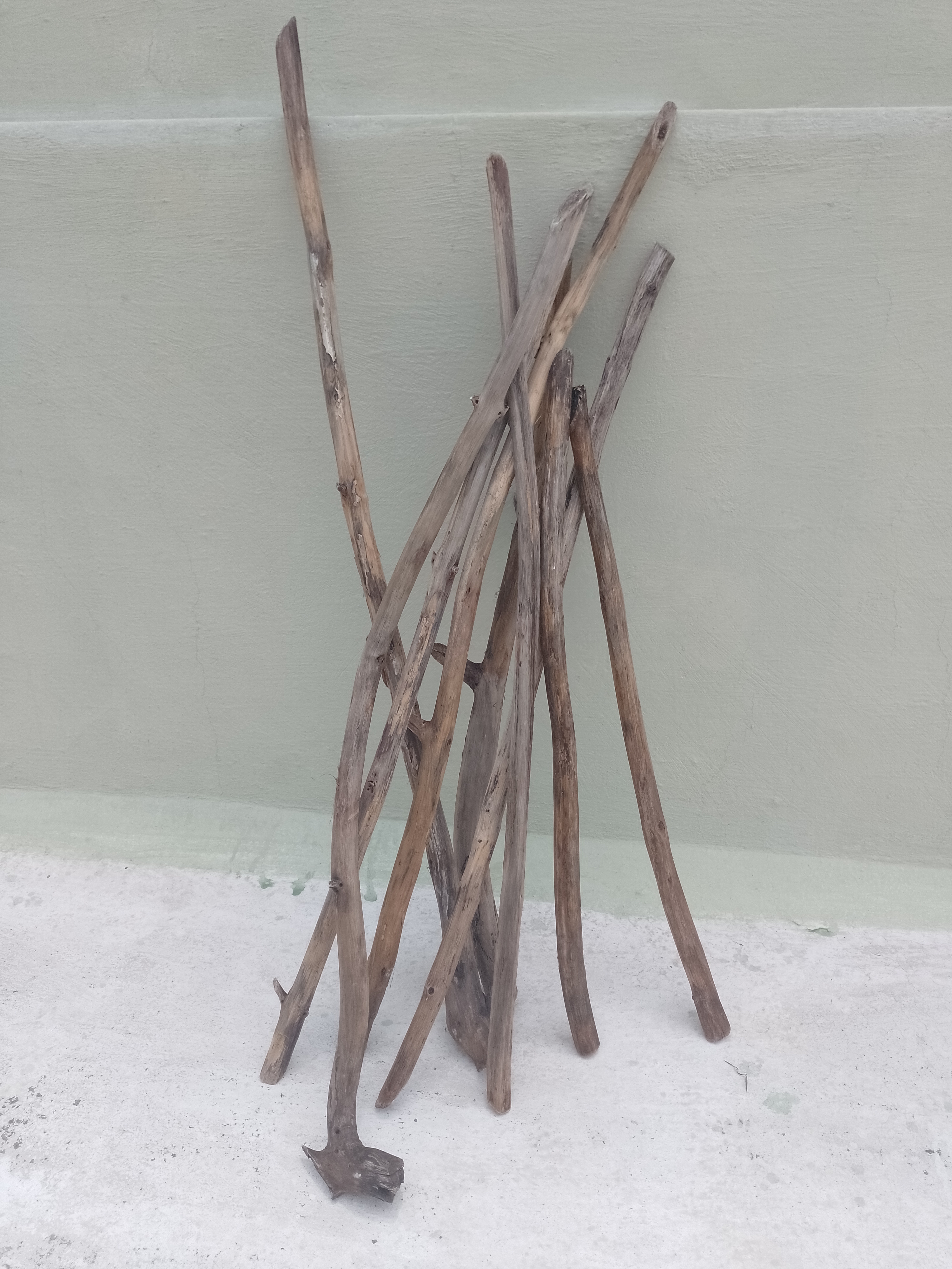 Teak Driftwood Wooden Sticks 2 Feet Long 8 Pieces 