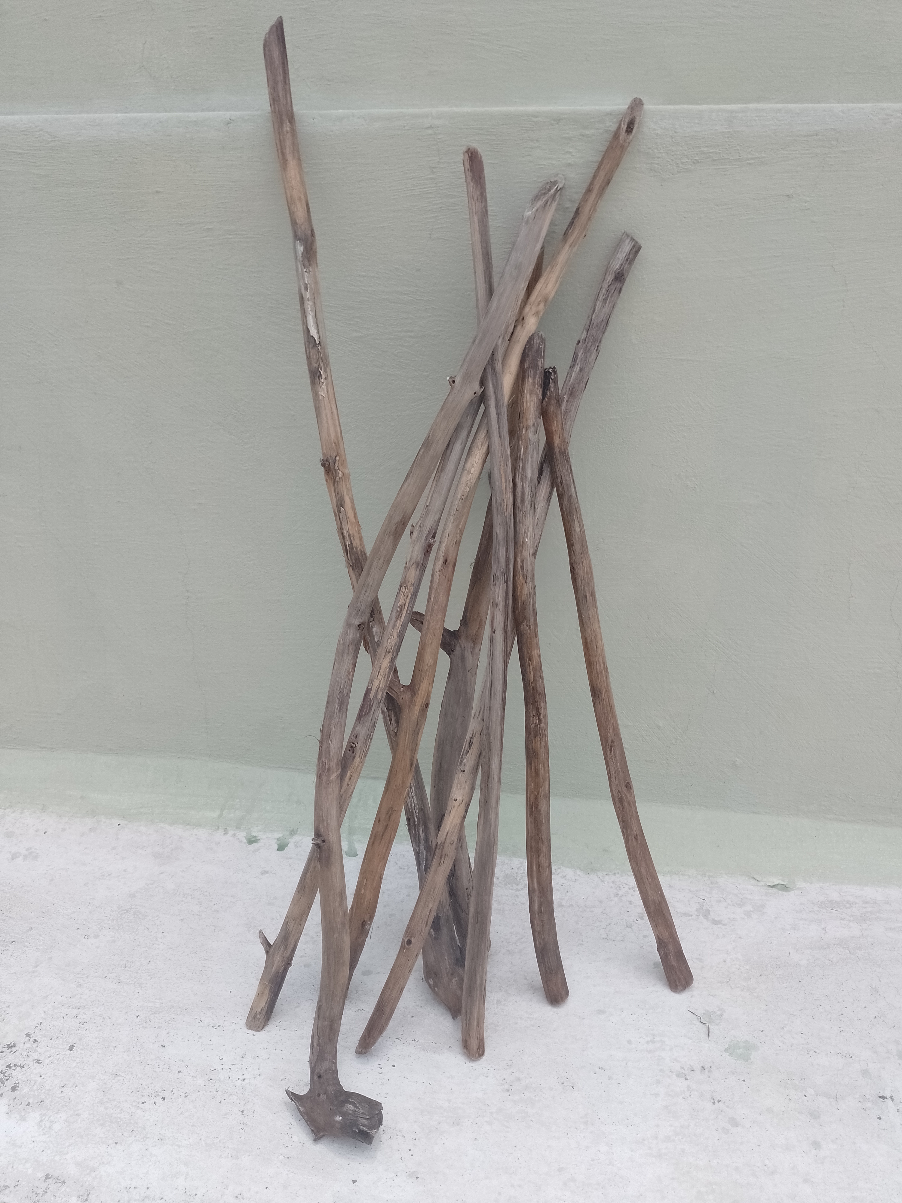 Teak Driftwood Wooden Sticks 2 Feet Long 8 Pieces 