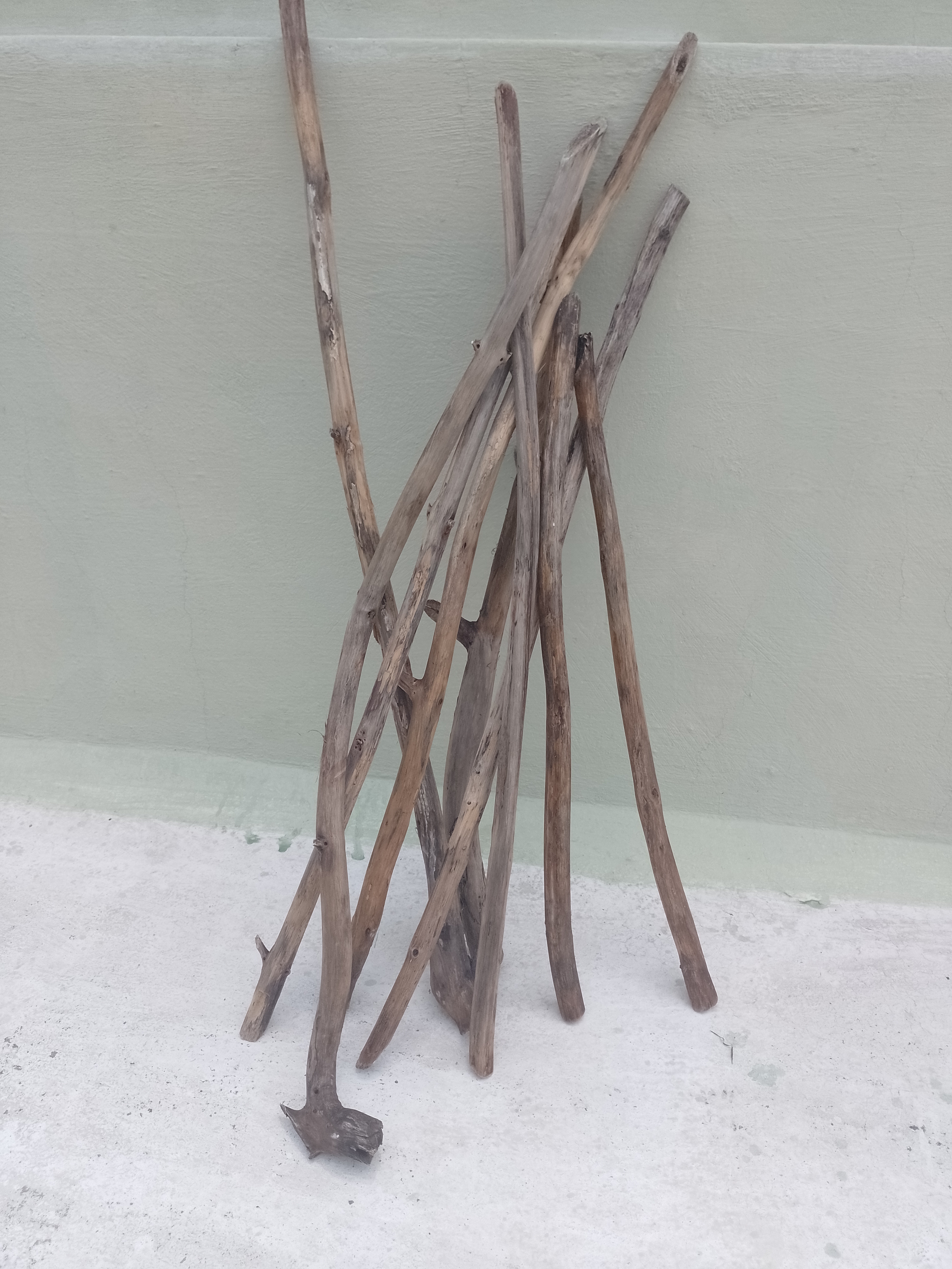 Teak Driftwood Wooden Sticks 2 Feet Long 8 Pieces 