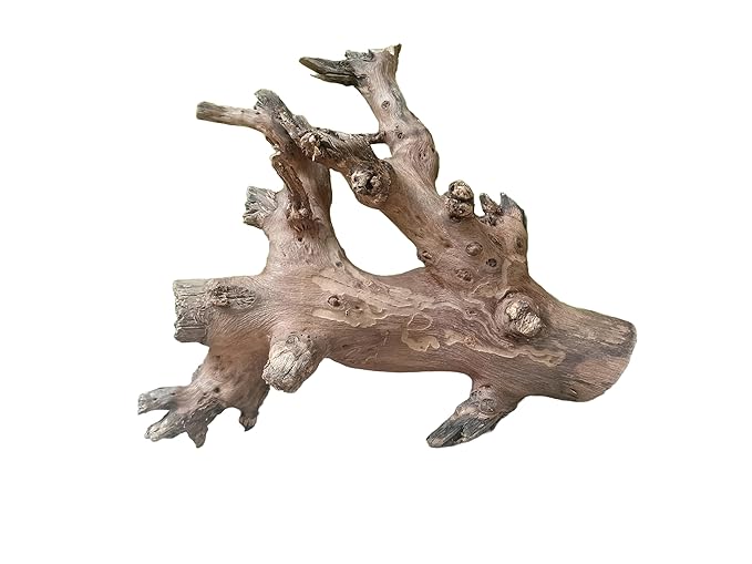 Driftwood For Aquarium Original Teak Solid Branch 40 Cm Long (Random Shape)