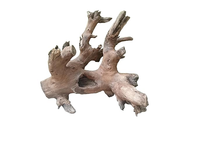 Driftwood For Aquarium Original Teak Solid Branch 40 Cm Long (Random Shape)
