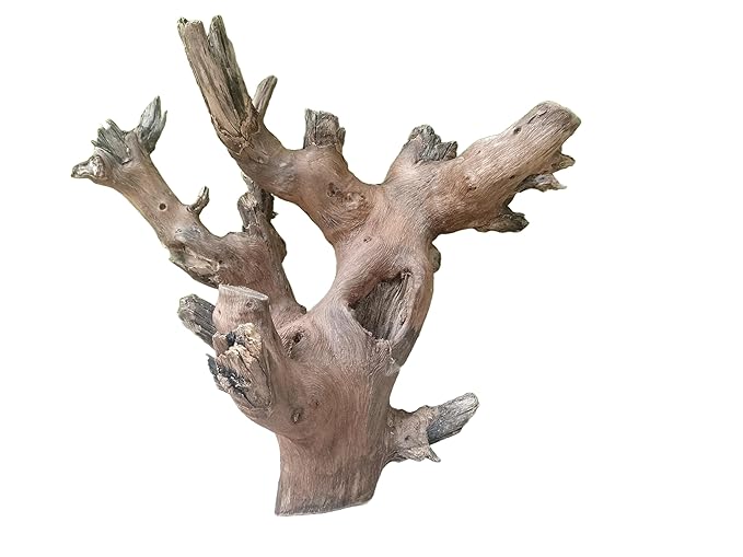 Driftwood For Aquarium Original Teak Solid Branch 40 Cm Long (Random Shape)