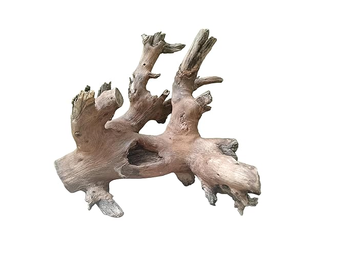 Driftwood For Aquarium Original Teak Solid Branch 40 Cm Long (Random Shape)