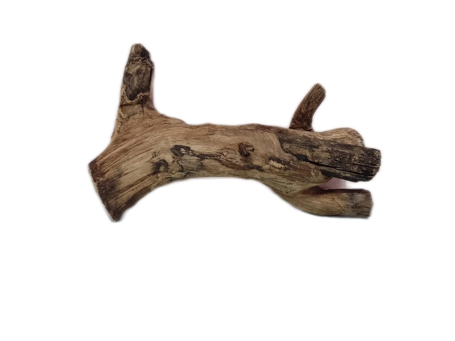 Driftwood for Aquarium Original Teak Wood 1.8 Kg Weight and 36 Cm Height(Random Shape)