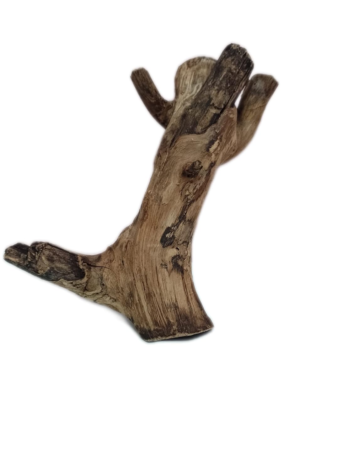 Driftwood for Aquarium Original Teak Wood 1.8 Kg Weight and 36 Cm Height(Random Shape)