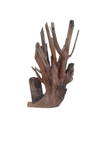 Driftwood For Aquarium Original Teak Branch 30 Cm Height and 15 cm width 
