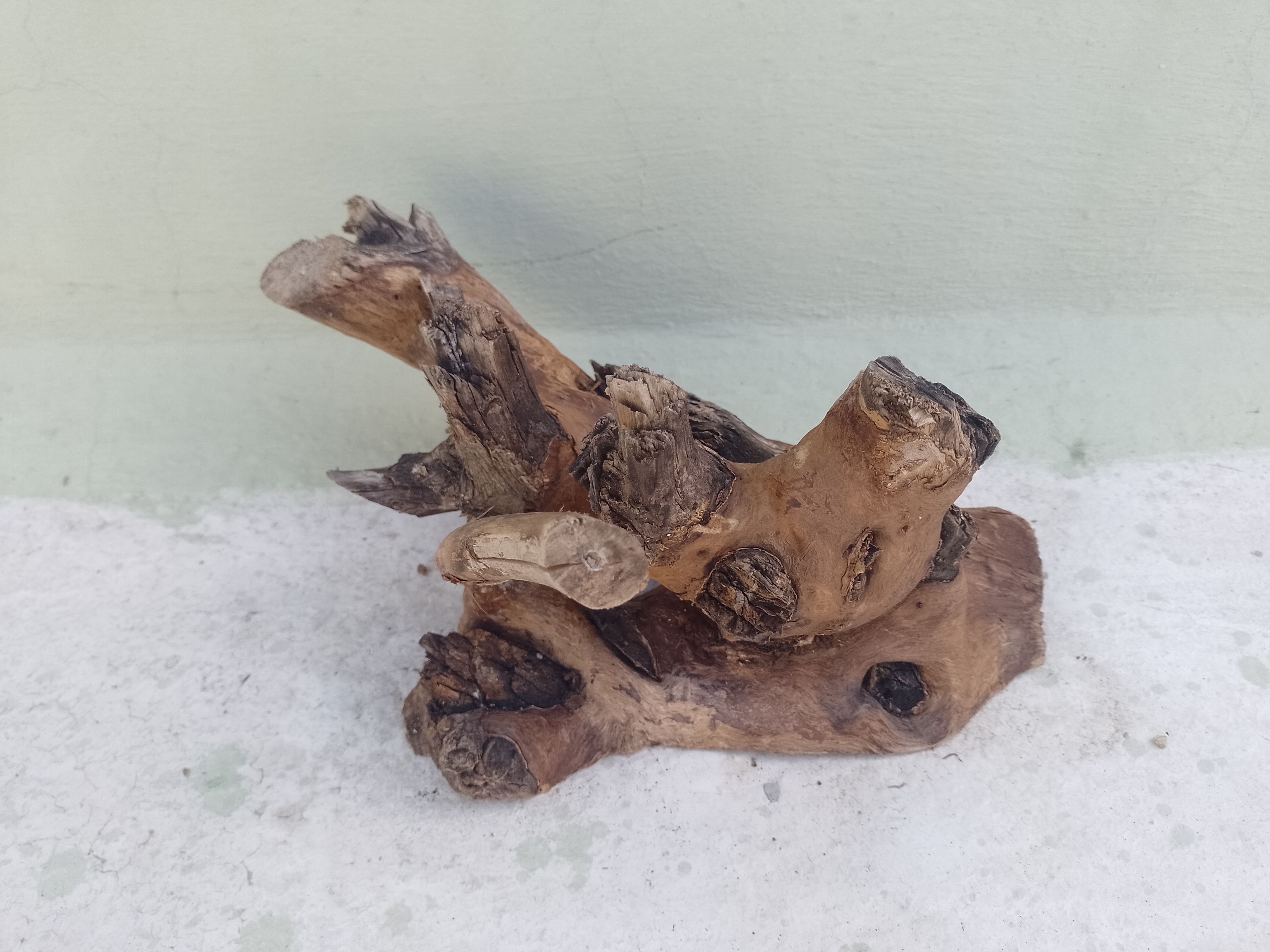 Driftwood for Aquarium Original Teak wood Branch 30 CM long and 20 cm Height 